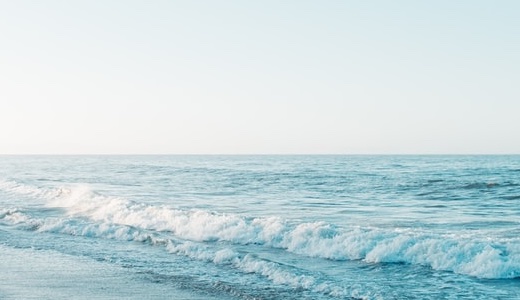 【研修会に参加しました】反社会的勢力の由来と歩み及び変遷・現状について